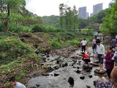 -重庆彩云湖湿地公园
