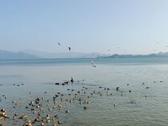 -深圳湾公园(南山区)