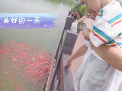 -西海子公园