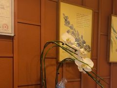 -LANN I 蘭·泰式古法按摩(高岛屋百货店)