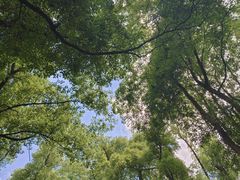-三江森林温泉度假区