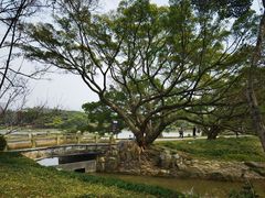 -江心屿景区