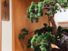 -苏小柳手作点心(控江旭辉分院)