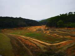 -东莞市大岭山森林公园