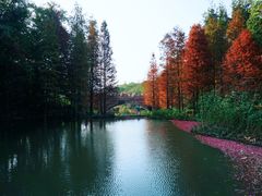 -云溪植物园