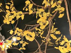 -小京华楼·京味斋(三元桥国展店)