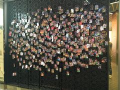 -乐天免税店(明洞店)