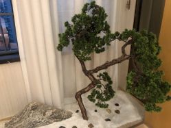 -JNK皮肤管理中心