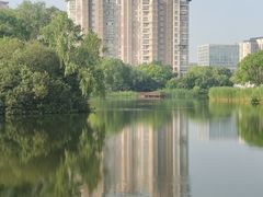 -新江湾城公园