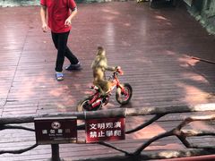 -石燕湖生态旅游景区