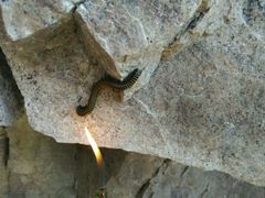 -洛阳白云山景区