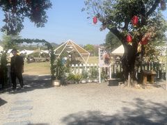 -长洲岛都市农业公园