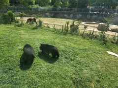 -无锡动物园·太湖欢乐园
