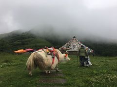 -硗碛藏寨·神木垒景区