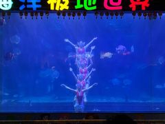 -蓬莱欧乐堡海洋极地世界