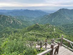 -大岭沟猕猴桃谷风景区