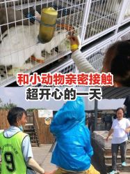 点击看大图 -小蜜蜂农场(凯德七宝购物广场店)