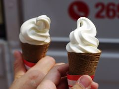 -富豪雪糕车流动点(尖沙咀店)