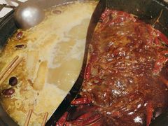 -朱光玉火锅馆(正弘城店)