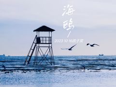 -鸽子窝公园