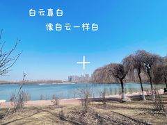 -丁香湖公园