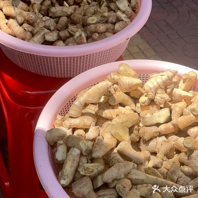 来东山怎么能不吃一次这姜母鸭呢！！！