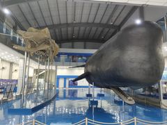 -上海海洋大学鱼文化博物馆(军工路校区)