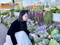 -野菌皇海景野生菌火锅(滨海大道店)