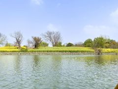 -溱湖国家湿地公园