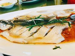 太雕酒香蒸鲥鱼-上海小南国(世博源店)