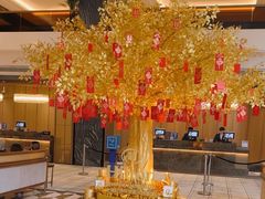 -上海虹桥祥源希尔顿酒店