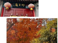 -竹子庵公园