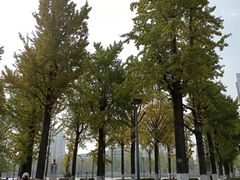 -两江幸福广场
