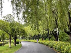 -白塘生态植物园
