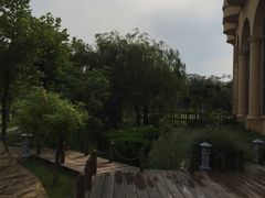 -青岛海泉湾度假区温泉