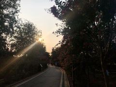 -武汉紫薇都市田园