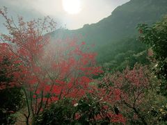 -青岛崂山太清宫