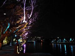 -运河游船(武林门码头)