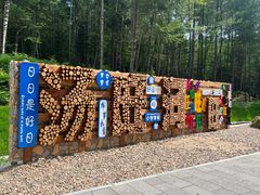 -汤旺河林海奇石景区
