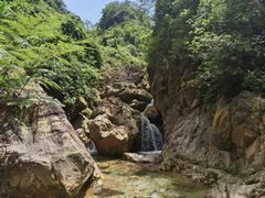 -南海湾森林生态园
