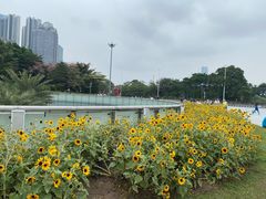 -海心沙亚运公园