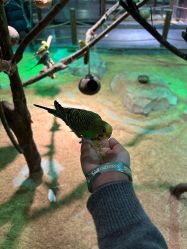 -酷嗒动物文化乐园(cutezoo西溪乐天城店)