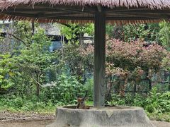 -宁波野生动物园