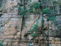 -齐王寨景区