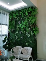 -苗医生草本科技祛痘