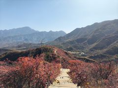 -水峪民俗村