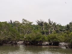 -东寨港红树林旅游区