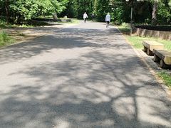 -北陵公园