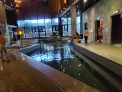 -汉拿山温泉度假酒店