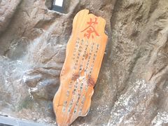 -裕龙汤泉